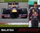 Марк Уэббер - Red Bull - 2013 Малайзии Гран-при, 2º классифицированы
